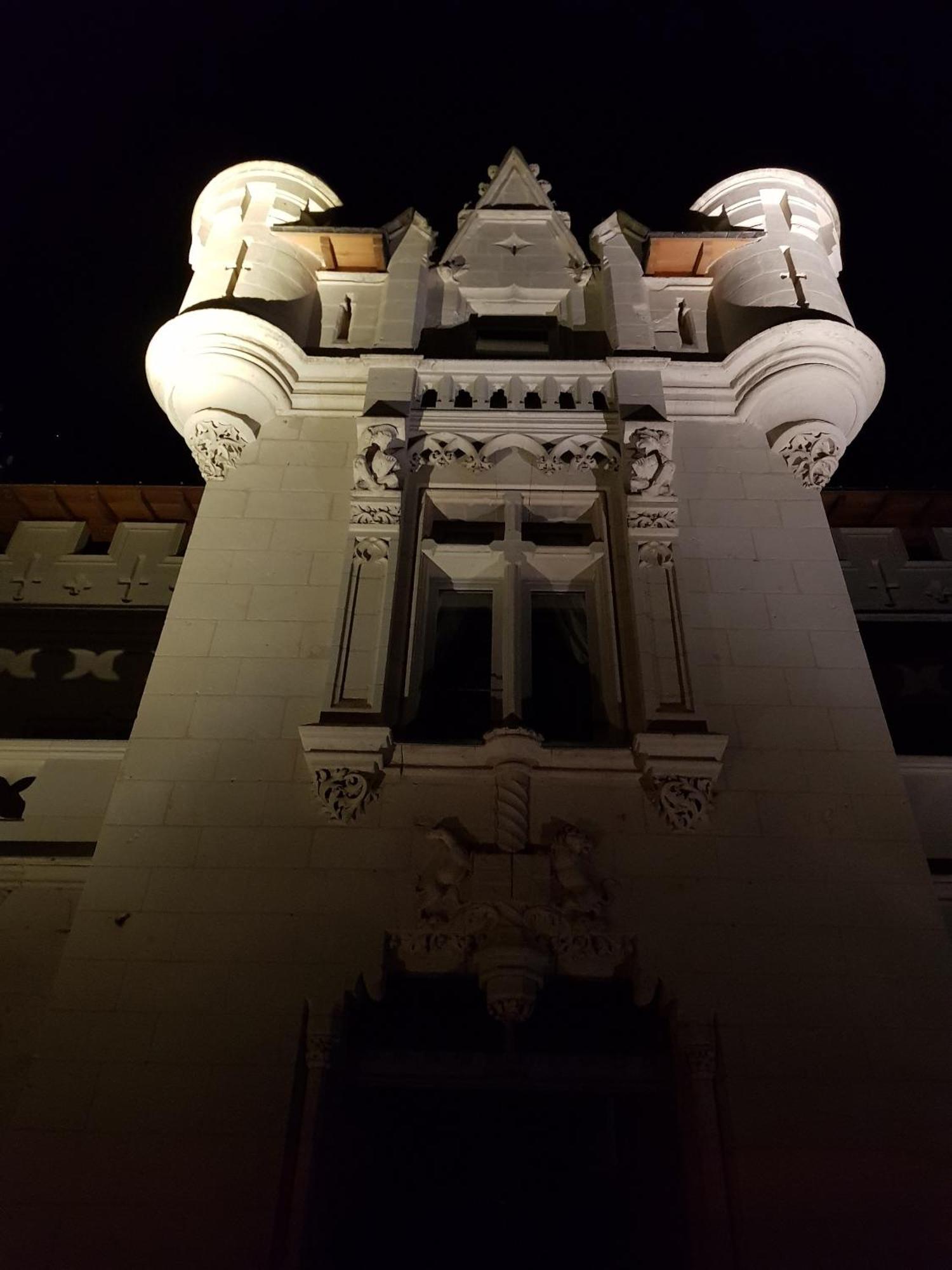 Château de Salvert - Appartement&Chambre d'Hôtes Neuillé Exterior foto