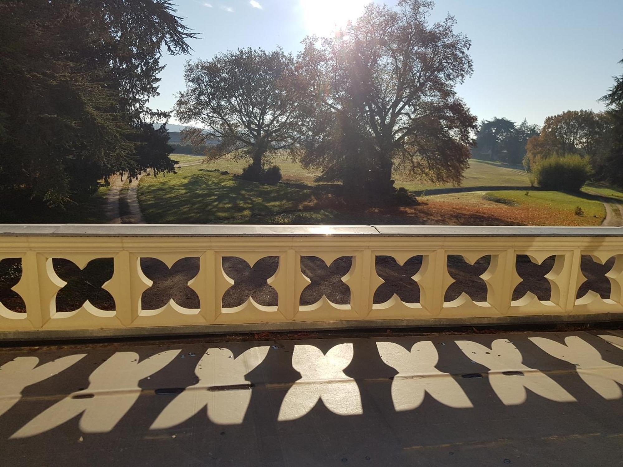 Château de Salvert - Appartement&Chambre d'Hôtes Neuillé Exterior foto