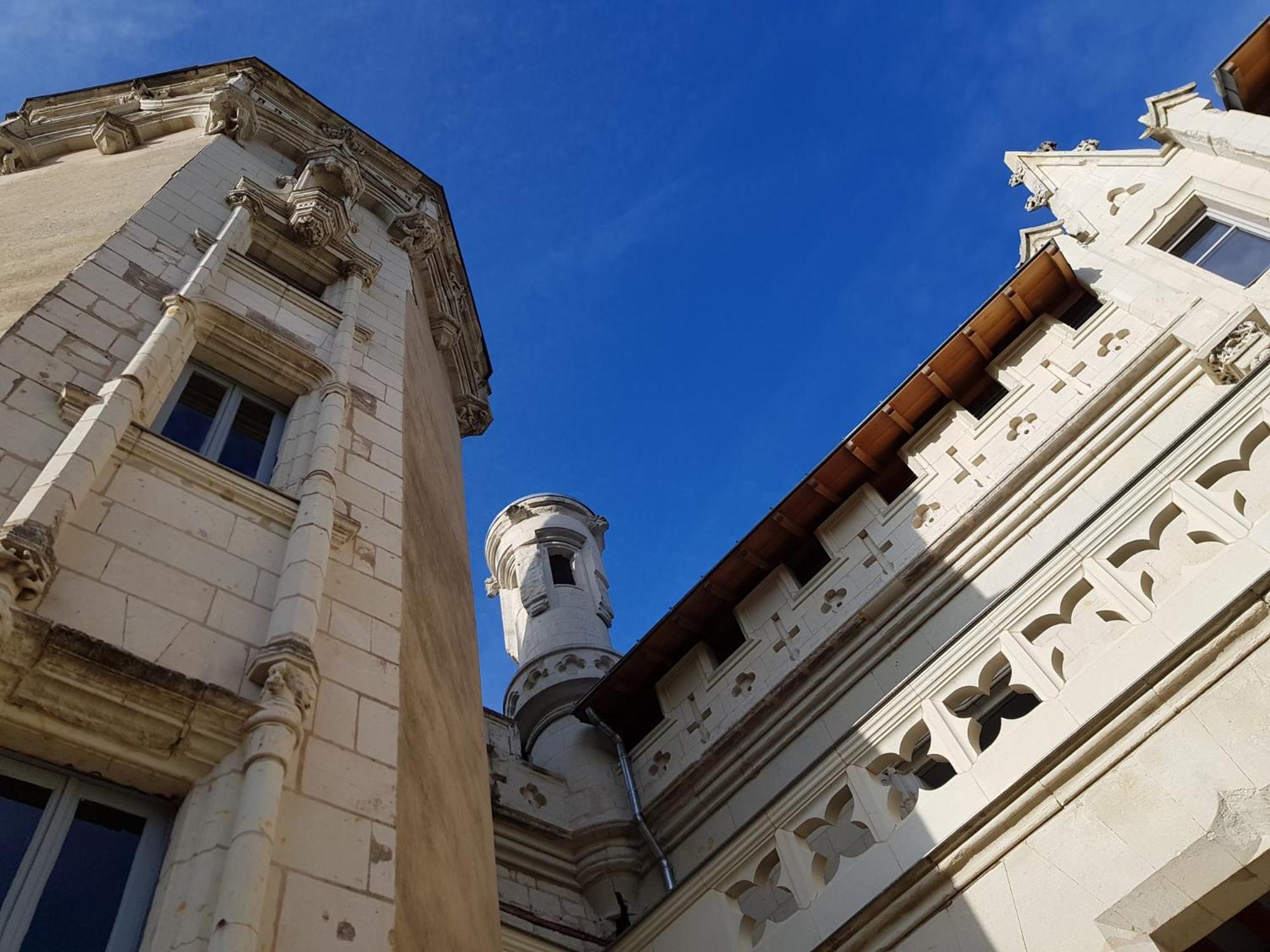 Château de Salvert - Appartement&Chambre d'Hôtes Neuillé Exterior foto