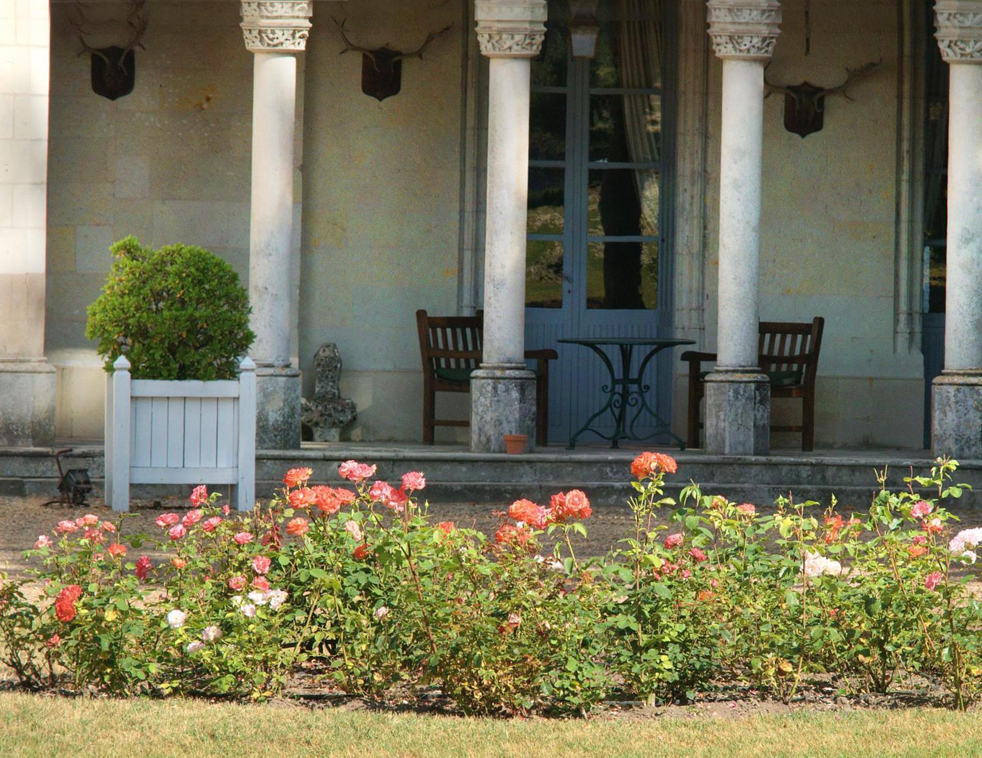 Château de Salvert - Appartement&Chambre d'Hôtes Neuillé Exterior foto